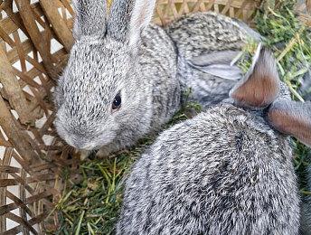 索尼新专利：使用AI为PS5玩家推荐武器装备